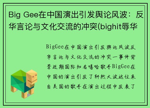 Big Gee在中国演出引发舆论风波：反华言论与文化交流的冲突(bighit辱华回应)